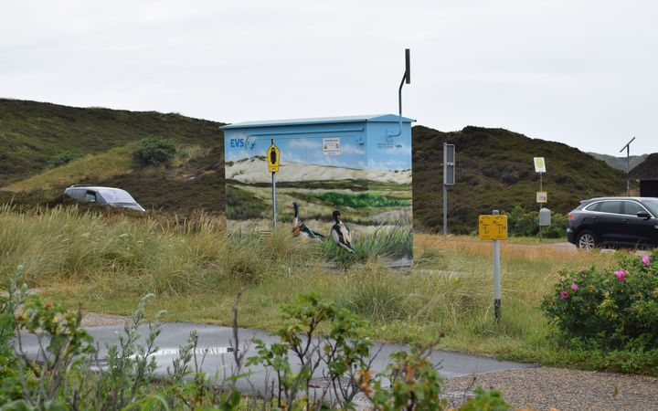 Eine Trafostation bemalt mit zwei Enten in den Dünen