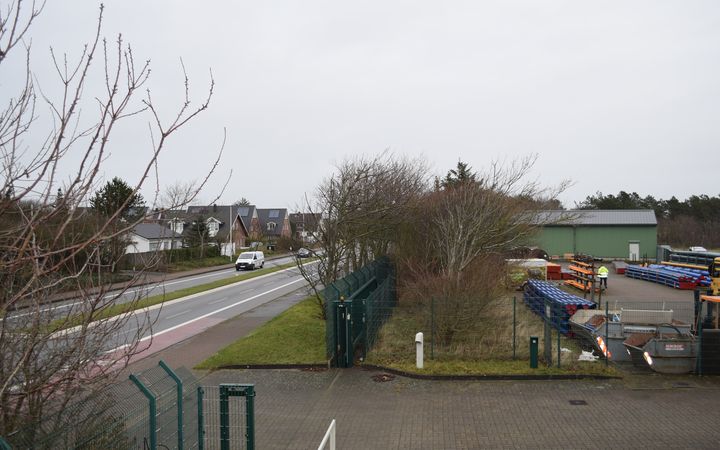 Baumfellarbeiten auf dem EVS-Gelände